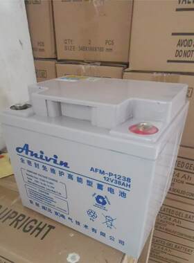 安耐威蓄电池AEM-P1238V