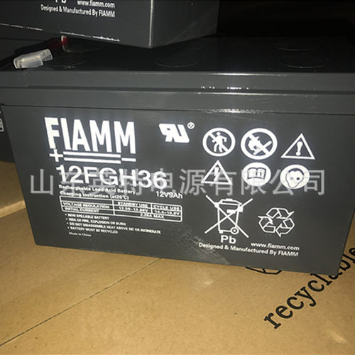 意大利非凡FIAMM蓄电池12
