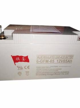 12V65AH蓄电池 6-GFM-65太阳能通讯基站直流屏UPS电源