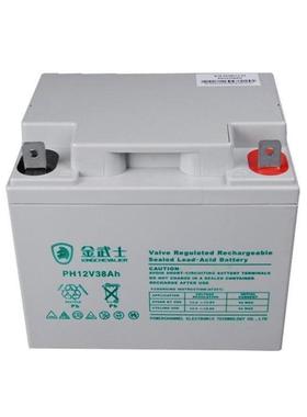 金武士蓄电池PW38-12 绿色环保免维护型 消防巡检成套柜EPS应急电