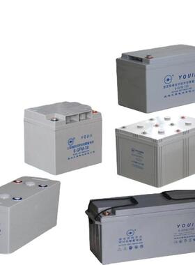YOULI蓄电池6-GFM-100直流屏UPS电源150A120A100A65A40A38A24