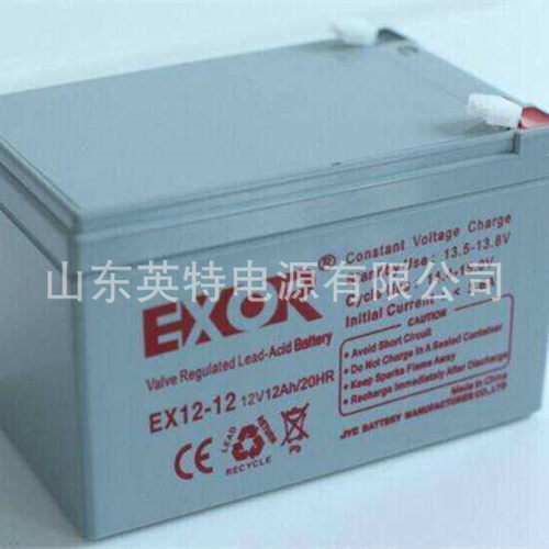 EXOR/埃索蓄电池12-免维
