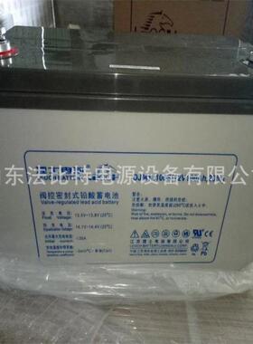 理士工业蓄电池DJM12100/12V100Ah  UPS不间断电源