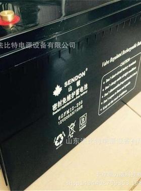 阀控式蓄电池6GFM-12-200免维护12V1200Ah质保3年 包运