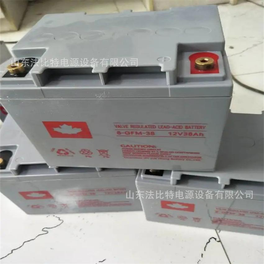 密封免维护蓄电池6-GFM-38直流屏12V38Ah UPS不间断电源