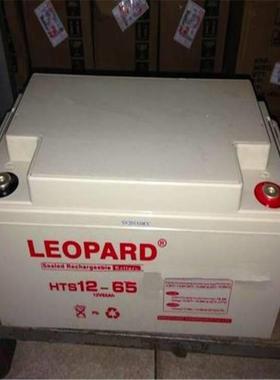 LEOPARD HTS12-100 12V100AH外壳阻燃抗震防油材料