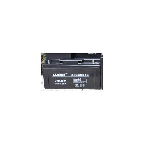 LUOKI洛奇蓄电池MPC65-12