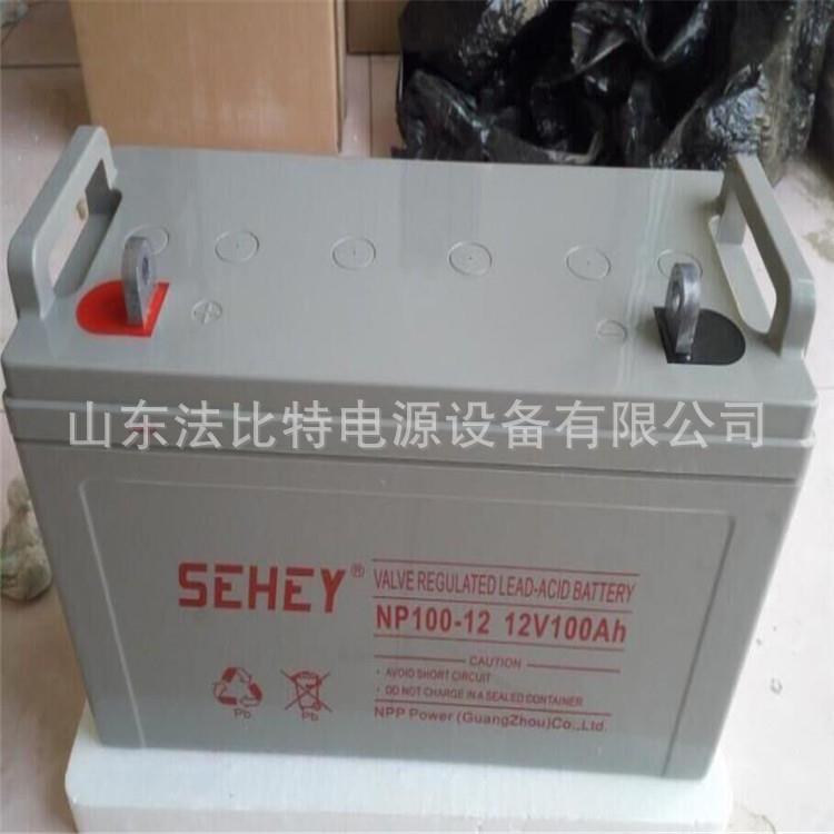 铅酸蓄电池NP100-12免维护12V100Ah轨道交通 全新含税