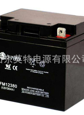 j-power金晖蓄电池FM12380(12v38ah)适用门禁卷帘门电梯UPS电源