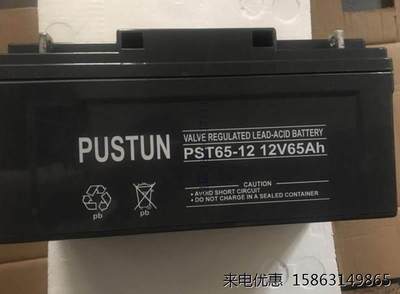 正品特价PUSTUN蓄电池