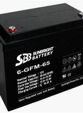 6-GFM-65 长寿命免维护电瓶 消防联动EPS应急后备电