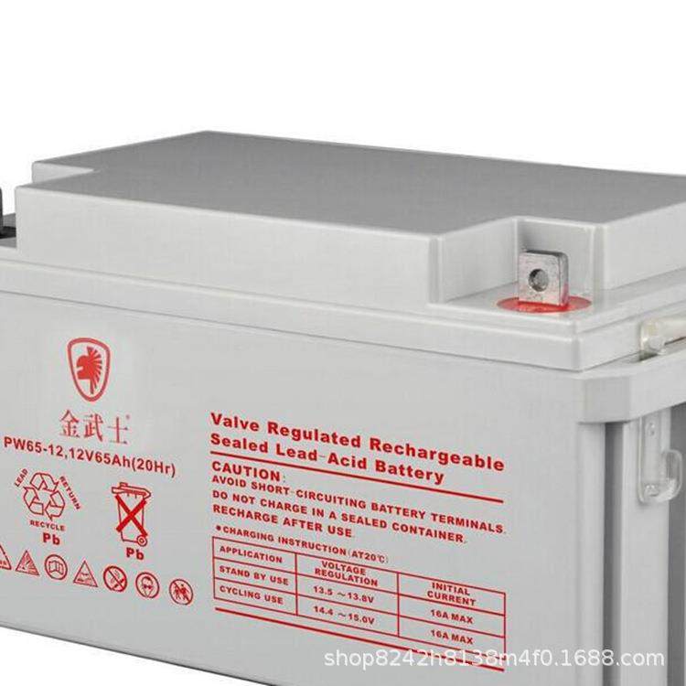 金武士蓄电池12V100AH（10HR） PW100-12免维护铅酸蓄电池,电动车/配件/交通工具,电动车铅酸电池,淘宝优惠券,粉丝福利购,淘宝优惠卷
