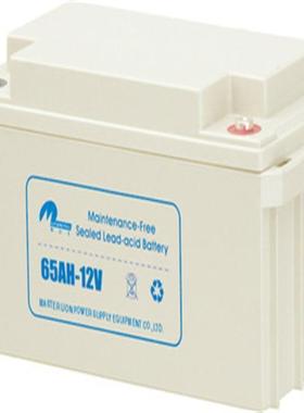 65AH-12V 绿色环保免维护型 机房UPS计算机不间断电