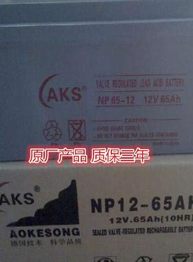 12V100AH免维护蓄电池AKS电池NP12-100直流屏UPS