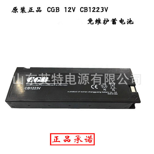 销售长光蓄电池CB1223VC