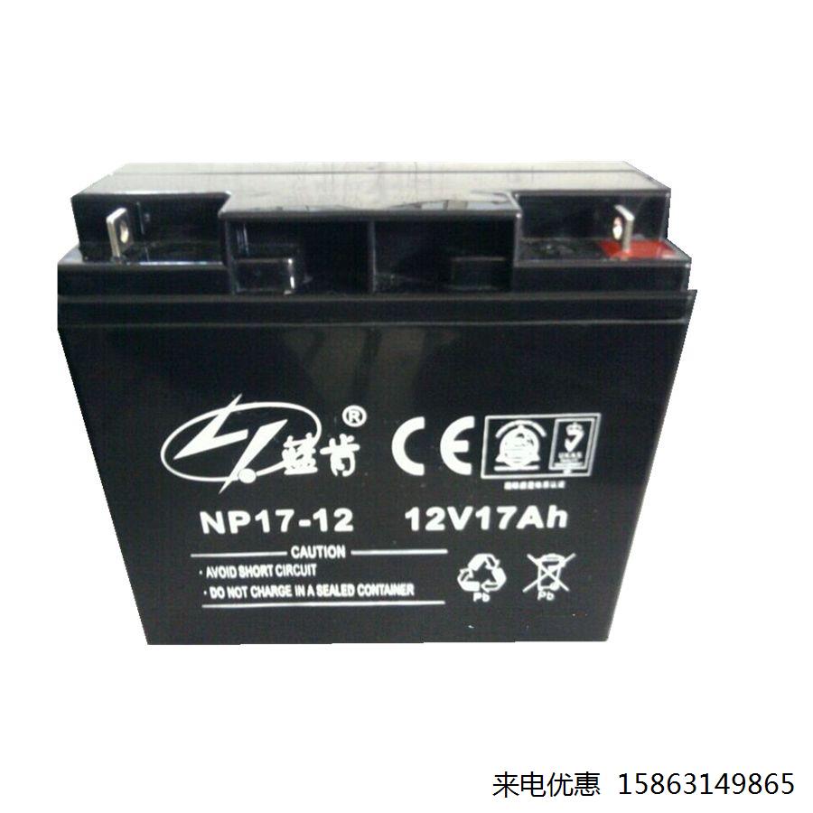 篮肯蓄电池NP200-12机房电源通讯基站消防系统柜铅酸储能12V200AH-封面