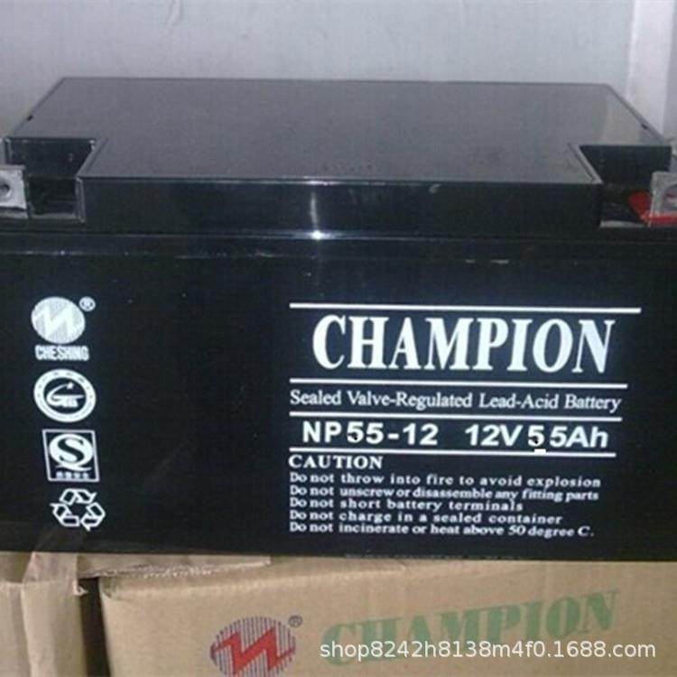 蓄电池NP33-12铅酸免维护12V33AH直流屏电机房安防UPS基站用,电动车/配件/交通工具,电动车铅酸电池,淘宝优惠券,粉丝福利购,淘宝优惠卷