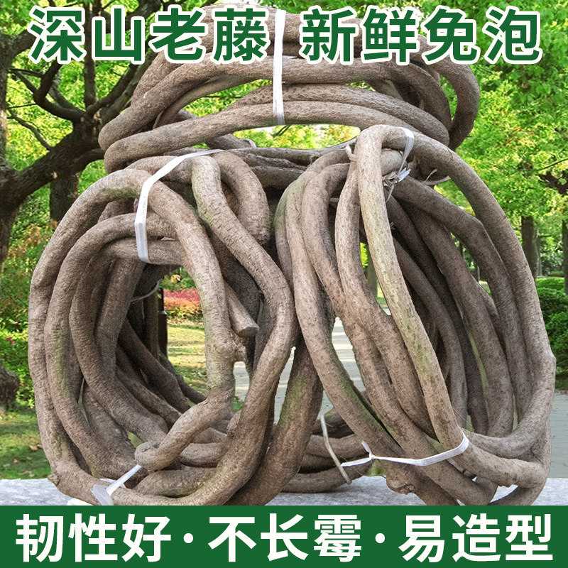 仿真树藤枯藤红山藤深山真藤条天然藤蔓老藤树枝仿生造景diy绿植