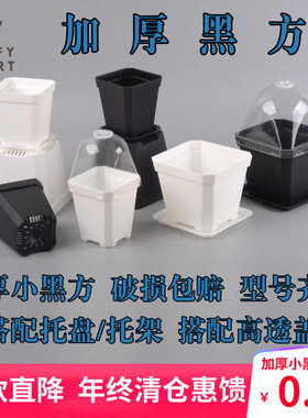 大方花盆播种育苗叶插闷养七方十方小黑方小花盆园艺用盆加厚塑料
