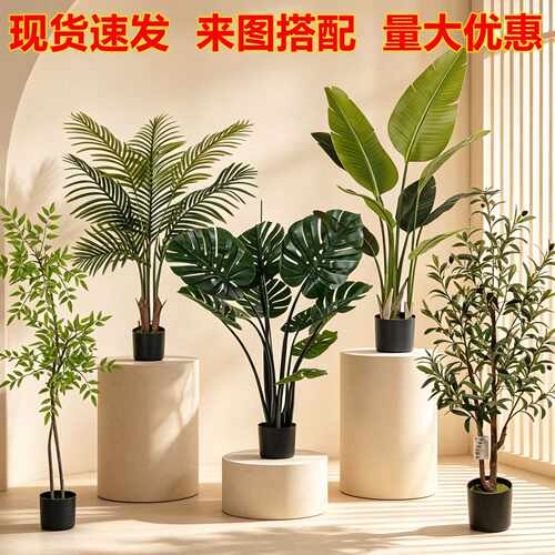 仿真旅人蕉橄榄树龟背盆栽1.2米