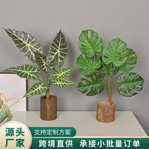 仿真绿植把束手感龟背春芋鸟巢叶