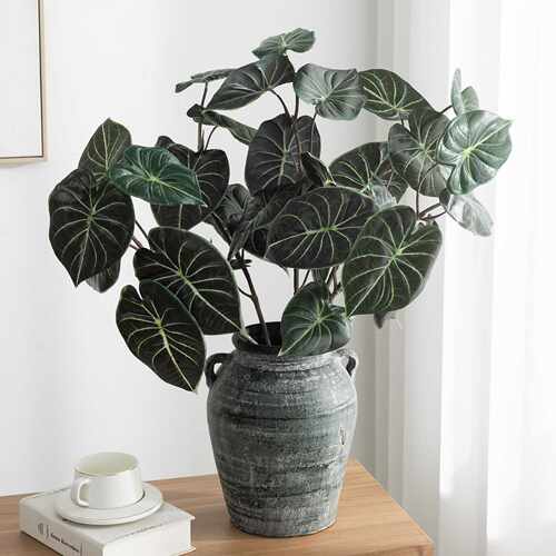 仿真绿植海芋叶龟背叶ins风高端