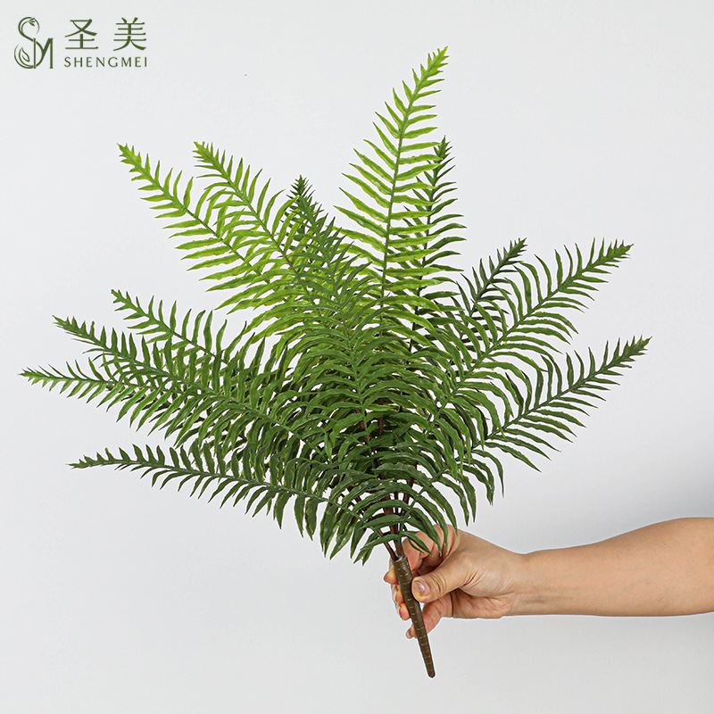 仿真蕨草14叶大号帝王蕨类绿植墙
