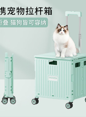 轻便机灵可折叠宠物小型猫咪狗狗