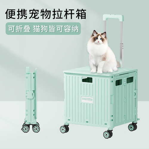 轻便机灵可折叠宠物小型猫咪狗狗