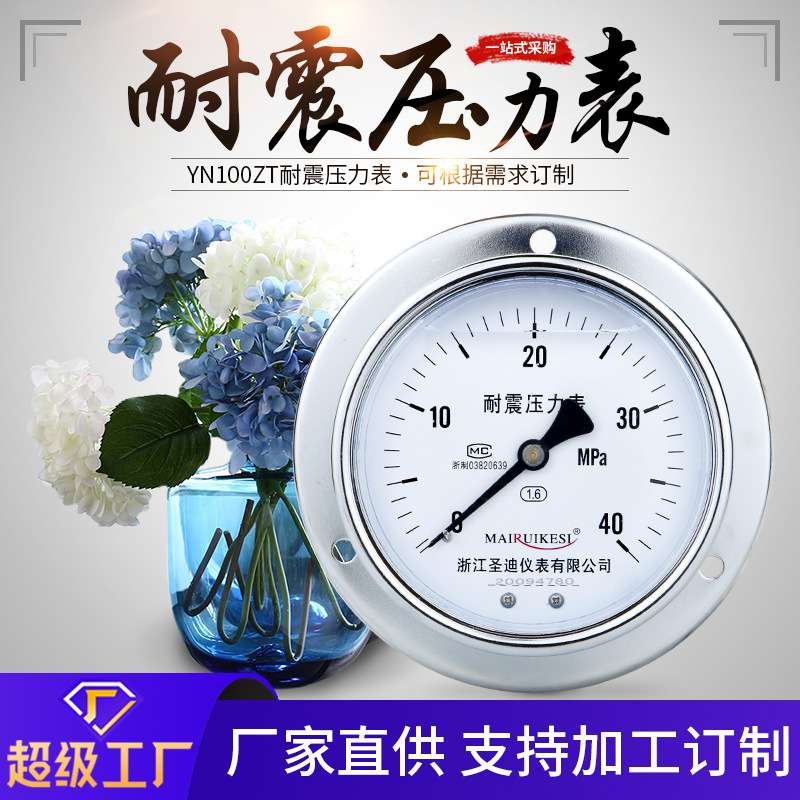 供应m20*1.5螺纹轴向带边耐震压力表YN100ZT不锈钢耐震压力表
