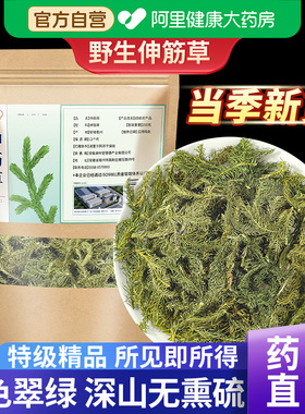 野生伸筋草中草药材小伸筋草黄芪泡脚包白芥子舒筋透骨草茶的功效