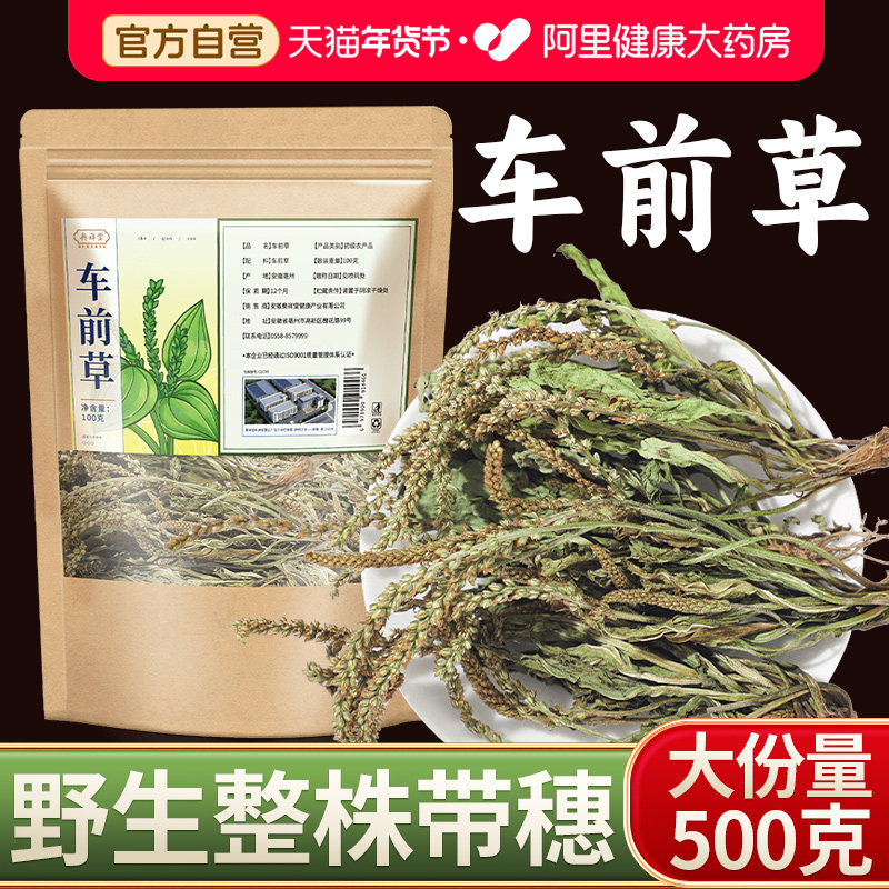 野生车前草中草药材500g夏枯草泡水喝的功效与作用干货官方旗舰店