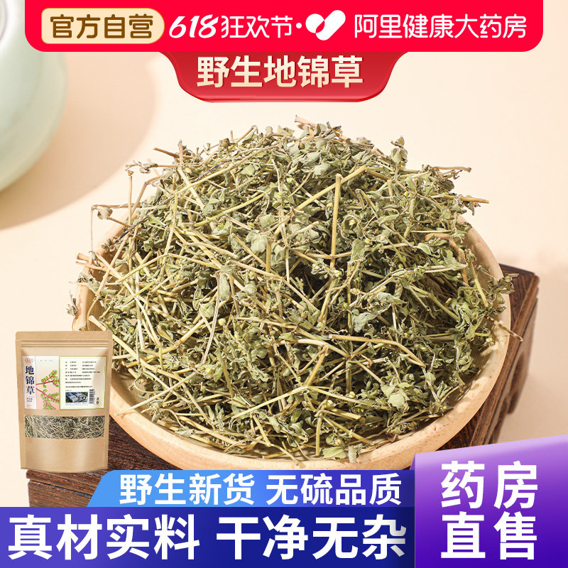 野生地锦草500克新鲜正品泡水喝搭茵陈功效与作用中药材旗舰店