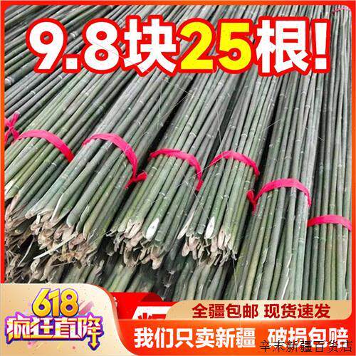 新疆包邮竹竿菜园搭架蔬菜豆角黄瓜爬藤架防腐细竹竿小竹子篱笆栅