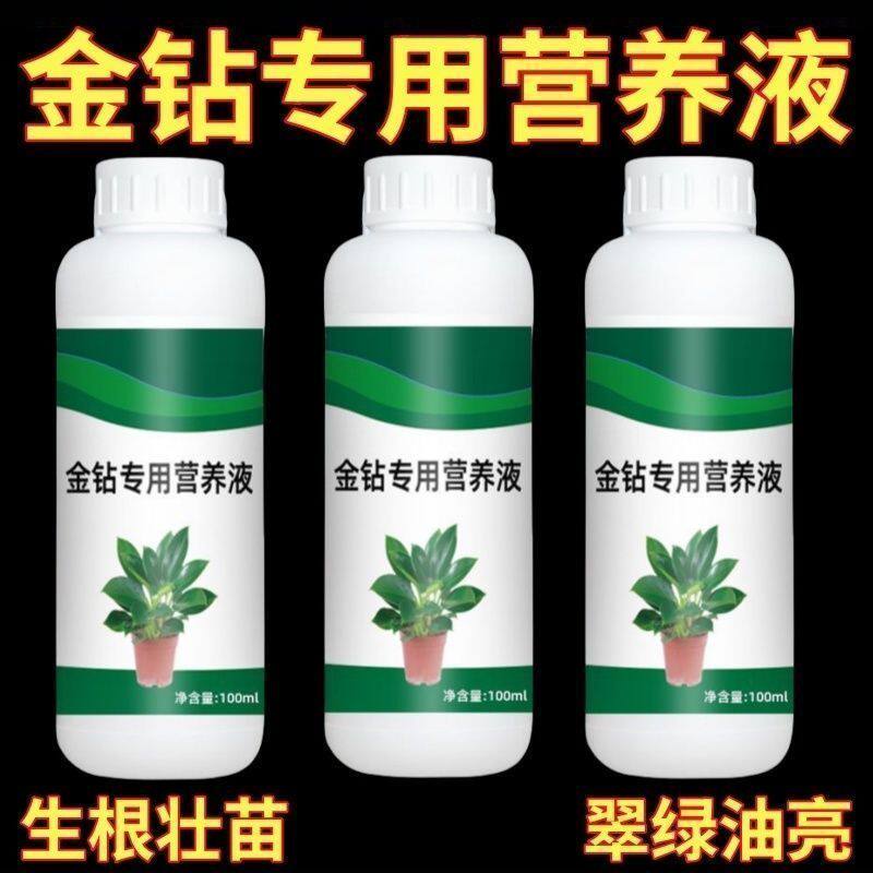 金钻营养液专用肥料家用室内养花绿钻红钻大叶盆栽公主稀释园艺