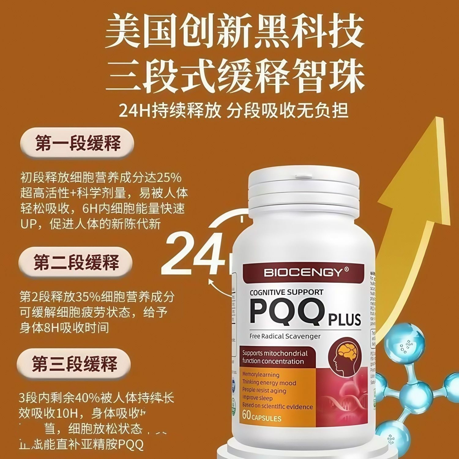 美国进口正品PQQ亚精胺高含量辅酶Q10细胞修护皮肤睡眠心血管年轻
