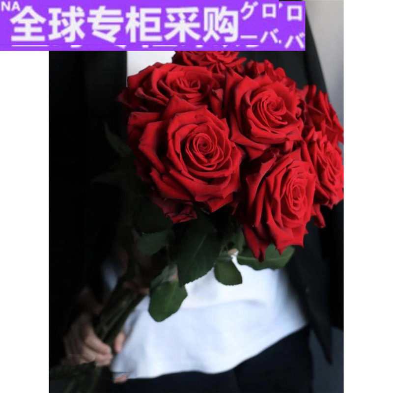 日本fw引进种植红色枪炮玫瑰卡地亚全店鲜花任意2束顺丰航空包邮