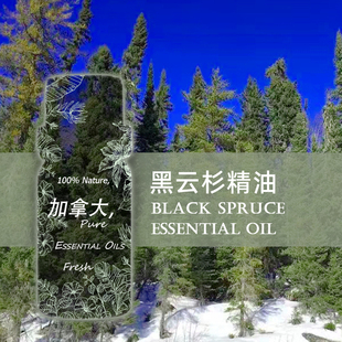 TLZY加拿大黑云杉精油 有机认证 提振士气除臭泡澡纯植物单方精油