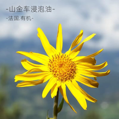 法国有机山金车浸泡油基础油 活xue化yu消琰止通修护敏感肌黑眼圈