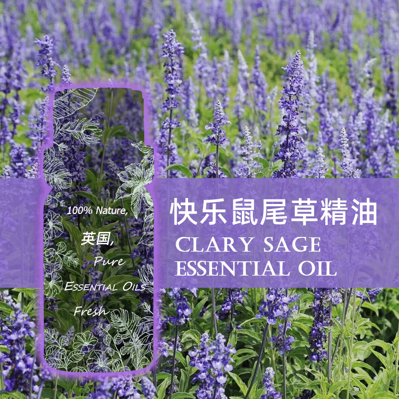 TLZY英国快乐鼠尾草单方精油30ml