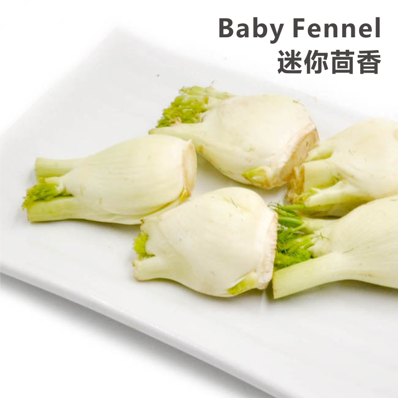 【smyle】迷你茴香 Baby Fennel 5pcs ( 300-330 g )|msdalam kategori daging perikanan/Buah-buahan segar dan sayur-sayuran/dimasak, sayur-sayuran segar/Vegetable Products, sayur-sayuran segar, lain - dari Buy2taobao.com untuk memberikan perkhidmatan ejen Taobao profesional membeli
