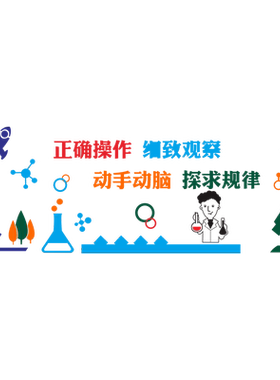 实验细致观察手动探寻规律墙贴