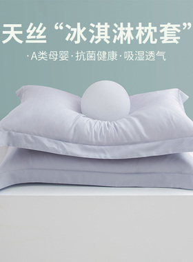 100%纯色抗菌天丝枕套48cmx74cm高级感家用四季款单人真丝枕头套