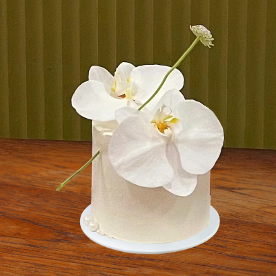 2025新款生日纪念日蝴蝶兰鲜花仿真生日蛋糕模型拍照道具