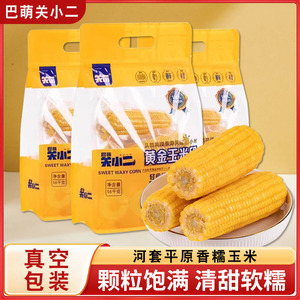 巴萌关小二黄糯玉米黄金玉米段1.6公斤水果甜玉米真空装即食玉米