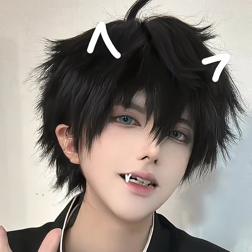 动漫蓬松基佬毛男短发仿真全头套