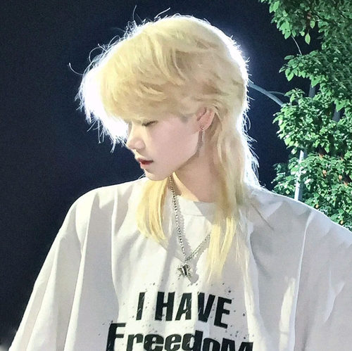 鲻鱼头假发韩版帅气中分高温丝