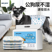 狗狗纸尿裤 尿不湿母狗公狗专用生理宠物姨妈巾拉拉裤 卫生小狗泰迪