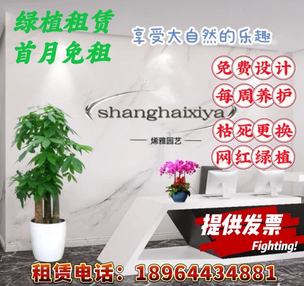 上海绿植租赁办公室花卉盆栽