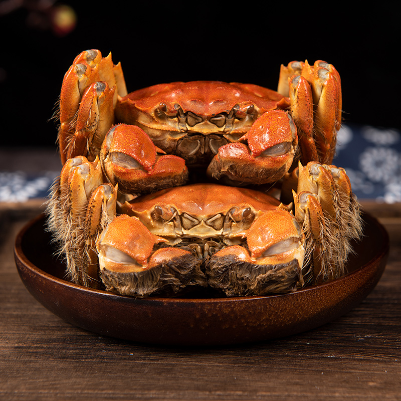 【活蟹】金沐运澄 严选精品 大闸蟹鲜活 全公蟹4.5两